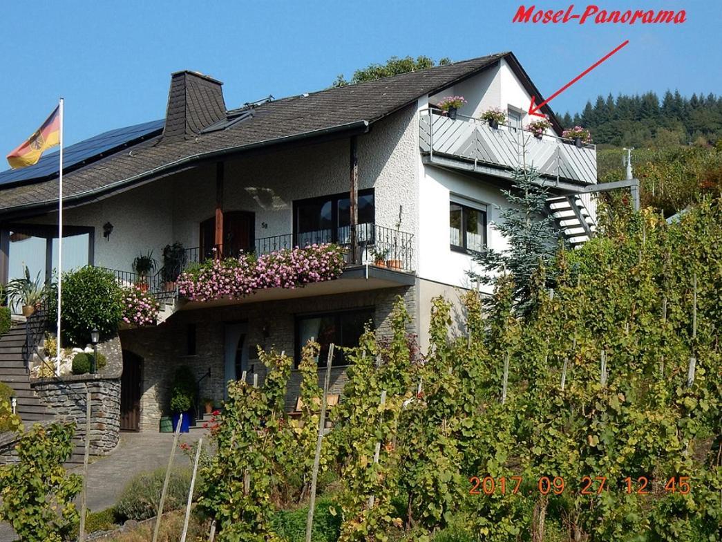 Апартаменты Mosel-Panorama Энкирх Экстерьер фото